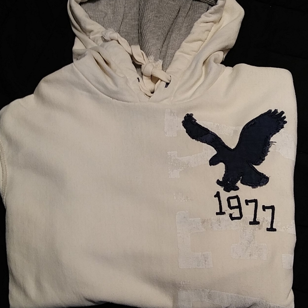 AMERIAN EALGE OUTFITTERS Hoodie